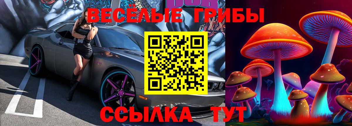 Галлюциногенные грибы GOLDEN TEACHER  Вход с VPN  Железногорск 